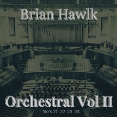Orchestral No 24