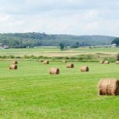 Canadian Farmland Rental Rates Hold Steady Despite Rising Land Values: FCC