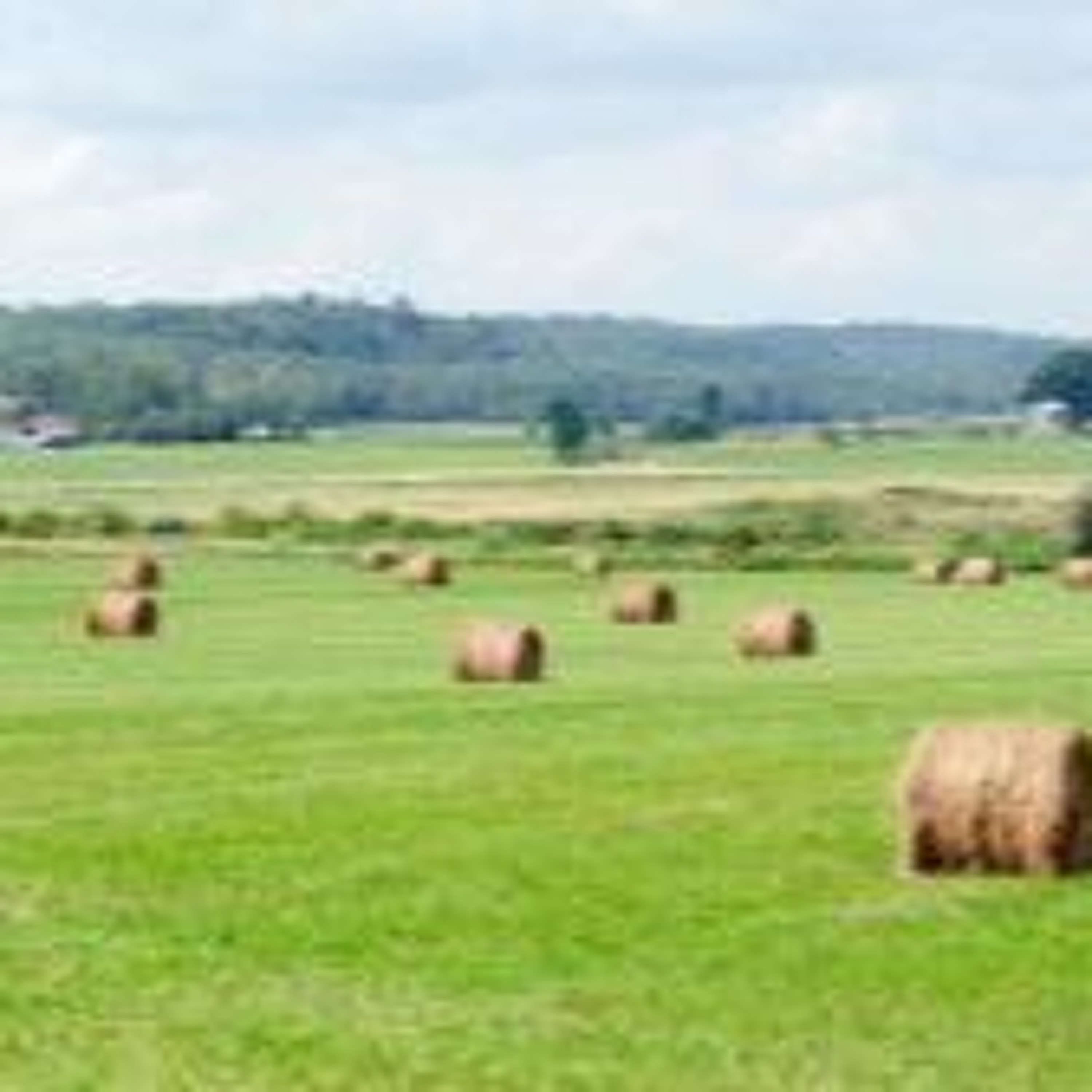 Canadian Farmland Rental Rates Hold Steady Despite Rising Land Values: FCC episode artwork