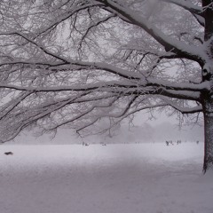 Fanfare For The Common Man