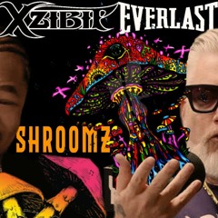 Xzibit & Everlast - Shroomz (Conspire Remix)