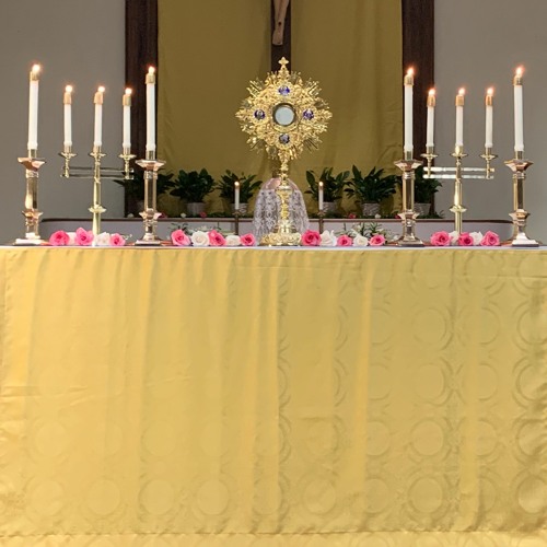 Homily: 15th Sunday in Ordinary Time (2020)