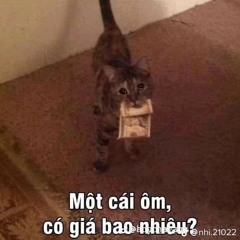 tuki