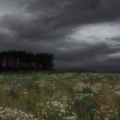 陽月 hizuki (splashgvng)