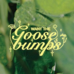 Want The Goosebumps - Miakie & Ethan Jupe