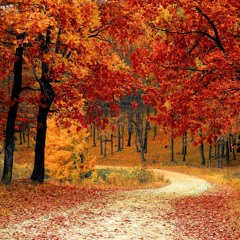 Autumn (Prod. Perx)