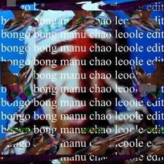 BONGO BONG - Manu Chao (leoole trance edit)