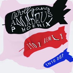 Phoenix - 1901 (InTo Deep Remix)