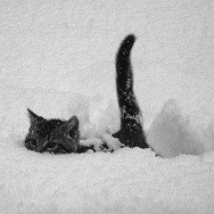 fem.love - сгораю