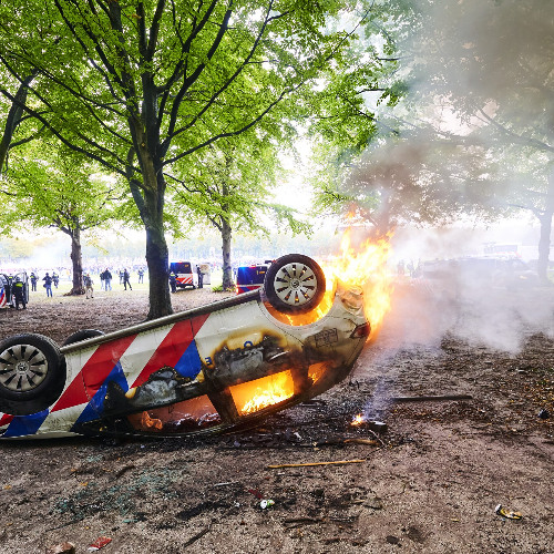 Animals (Blame the left)