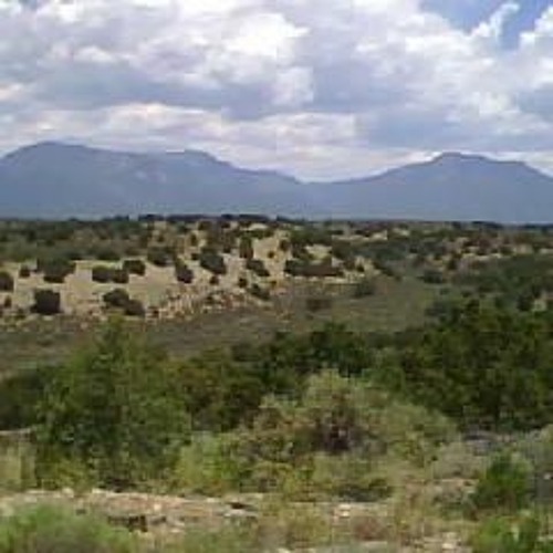 Desert Theme