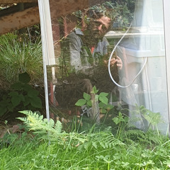 Moon over bourbon street