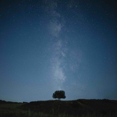 Starlit Echoes