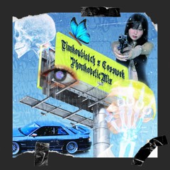 PHONKODELIC mix w/ timkovbiatch