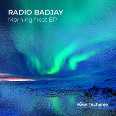 Radio Badjay - Morning Frost (BLOMAQ Remix)