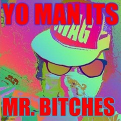 Mr. Bitches (Fuck the Haters Diss 8)