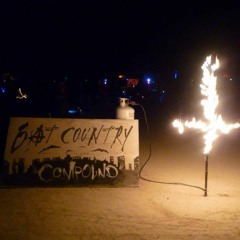 -=Psilovybe=- <)(>Bat Country Burning Man Multiverse 2020<)(>