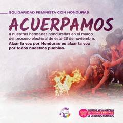 Solidaridad Feminista con Honduras: Liliana Caballero CEJIL