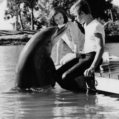 Acedelfinholgbtplass WIP