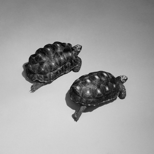 Liminal Spaces / Backrooms / Uncanny Songs - 17