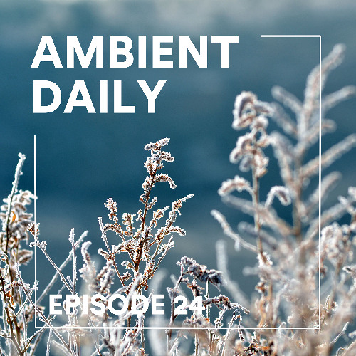 Ambient Daily - Episode 24 - Frozen Nature