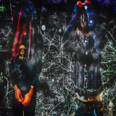 colenascus X druggdad - Where the dead go p.colenascus ALT