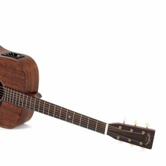 Виктор Петлюра - Ветка Вишни (Cover Алексей Бельченков)