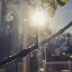 Jazzy feels and Orchestra stuff