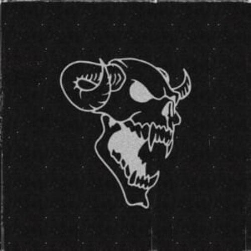 HOLY PHONK!