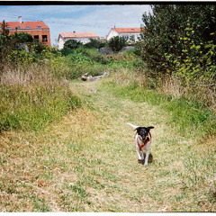 Energía Mutable - 24/10/2025