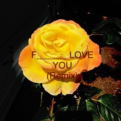 F_____ LOVE YOU (Remix)