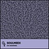 Gramigna - SOULMEEX 034 DJ mix artwork - Electronic music tracklist cover image