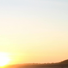 Recolher Dias Tardios