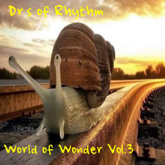 World Of Wonder Vol. 3 = Mixed by DJ Tim Baker of the Dr's Of Rhythm 3/19/2024