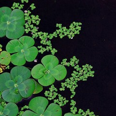 see you soon  125bpm