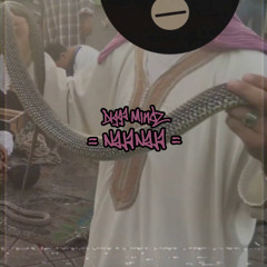 Digga Mindz - Naja Naja