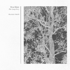 PREMIERE : Orca Silent - Gateway [OSL039]