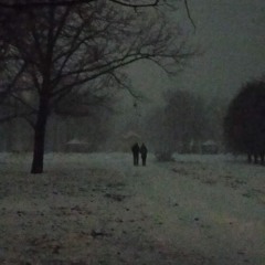 coldnight