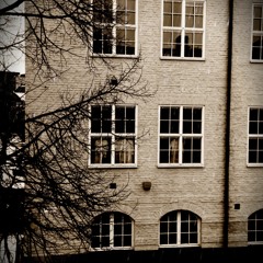 Man Rave - Ambient X-mas