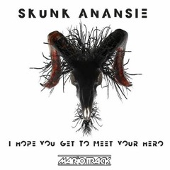 Skunk Anansie - I Hope You Get To Meet Your Hero (Gregor Salto Remix) Edit MarioTracK