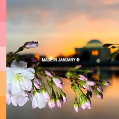 Trvnsit - Cherry Blossoms (prod. Janni & Lostburn)