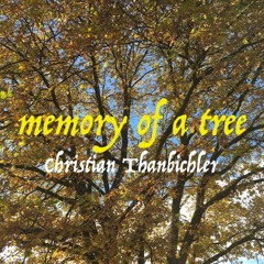 memory of a tree