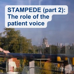 STAMPEDE (part 2): The role of the patient voice with David Matheson, Max Parmar & Nick James