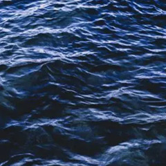 preserve and save the earth that we were founded on