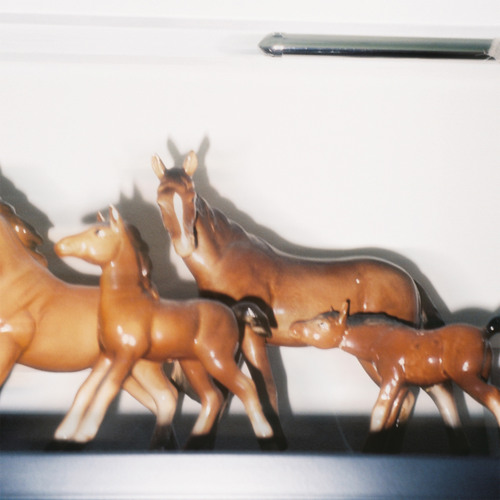 Horses