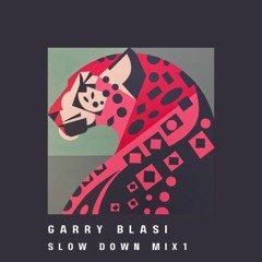 Garry Blasi - Slow Down mix1