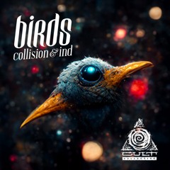 Collision & IND - Birds