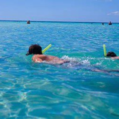 Best Snorkeling At Panama City Beach Prices Reviews