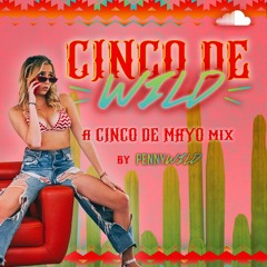 Cinco De WILD: A Cinco De Mayo Mix