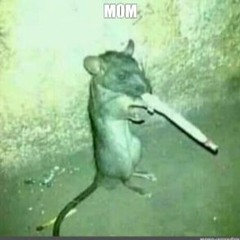happy 420 everyone!!